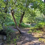 Nature & Avec Terrasse Et Aire De Jeu - Jasmin