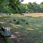 Nature & Avec Terrasse Et Aire De Jeu - Jasmin Dom wakacyjny Lesperon (Landes)