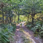 Nature & Avec Terrasse Et Aire De Jeu - Jasmin Dom wakacyjny
